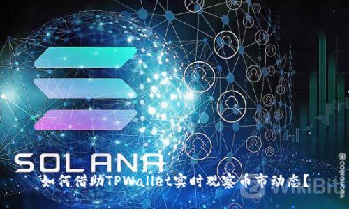 如何借助TPWallet实时观察币市动态？