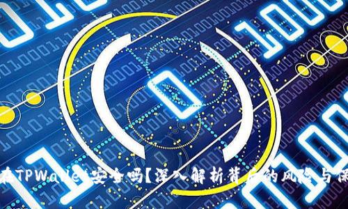 把币放在TPWallet安全吗？深入解析背后的风险与保护措施
