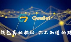 区块链钱包真相揭秘：你不知道的那些事儿