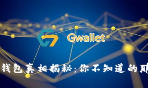 区块链钱包真相揭秘：你不知道的那些事儿