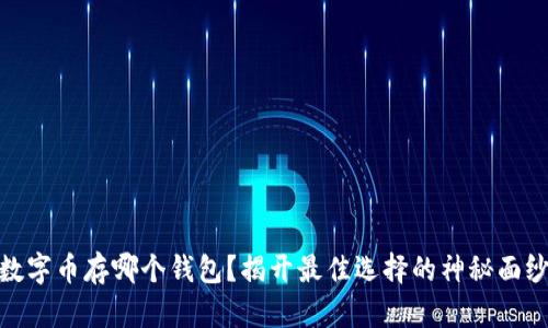 数字币存哪个钱包？揭开最佳选择的神秘面纱
