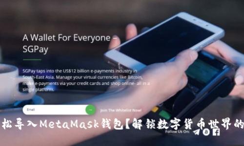 如何轻松导入MetaMask钱包？解锁数字货币世界的第一步