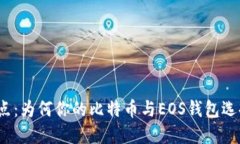 揭秘区块链云节点：为何你的比特币与EOS钱包选