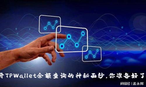 揭开TPWallet余额查询的神秘面纱，你准备好了吗？