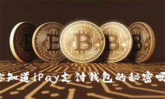 你知道iPay支付钱包的秘密吗？