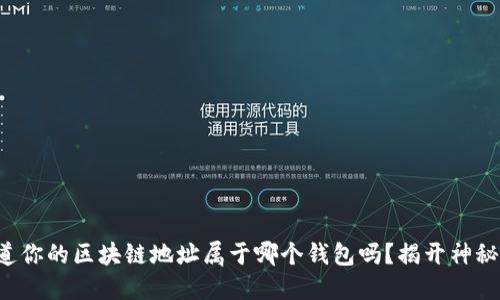 你知道你的区块链地址属于哪个钱包吗？揭开神秘面纱！