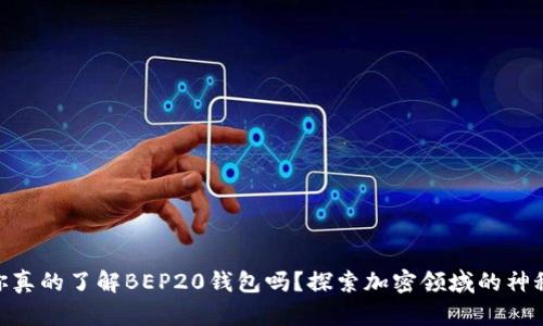 ## 你真的了解BEP20钱包吗？探索加密领域的神秘角落！