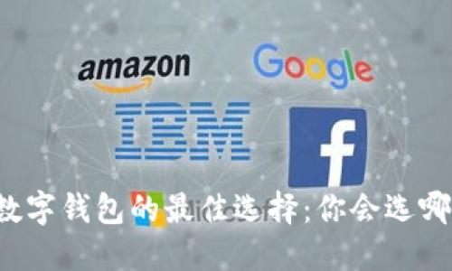 发现数字钱包的最佳选择：你会选哪一个？