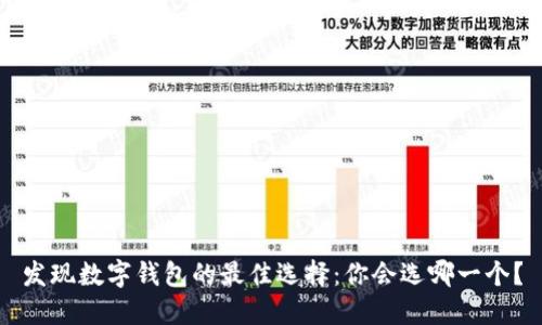 发现数字钱包的最佳选择：你会选哪一个？