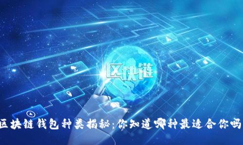 区块链钱包种类揭秘：你知道哪种最适合你吗？