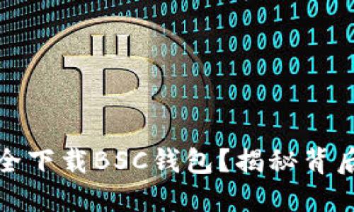 如何安全下载BSC钱包？揭秘背后的秘密