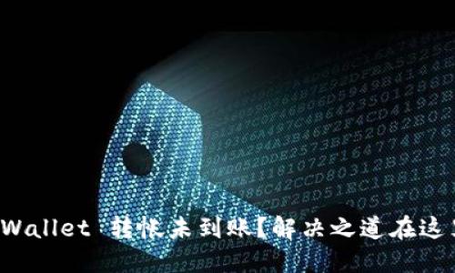 TPWallet 转帐未到账？解决之道在这里！