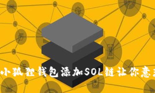 为什么小狐狸钱包添加SOL链让你意想不到？
