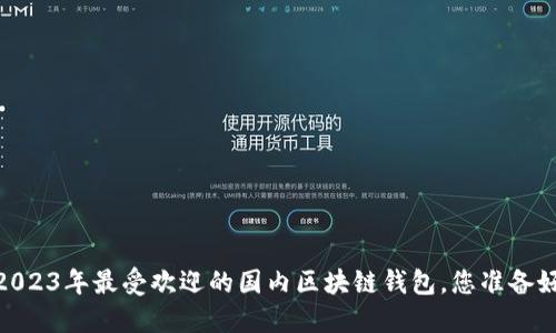 揭秘：2023年最受欢迎的国内区块链钱包，您准备好了吗？