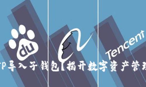 如何轻松将TP导入子钱包？揭开数字资产管理的神秘面纱