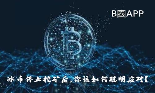 冰币停止挖矿后，你该如何聪明应对？