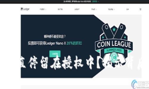 TPWallet交易为何一直停留在授权中？揭示背后的原因与解决方案