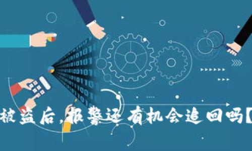 当TPWallet币被盗后，报警还有机会追回吗？揭秘警方行动！