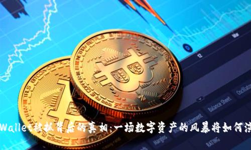 TP Wallet被抓背后的真相：一场数字资产的风暴将如何演变？