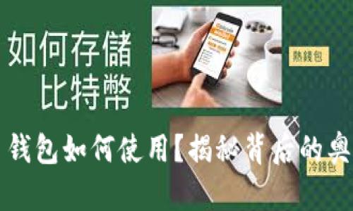 中国数字货币钱包如何使用？揭秘背后的奥秘与未来趋势