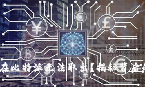 为什么你的USDT在比特派无法取出？揭秘背后的原因与解决方案