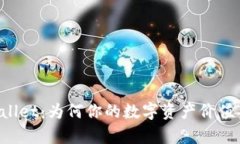 探秘TPWallet：为何你的数字资产价值“失声”了？