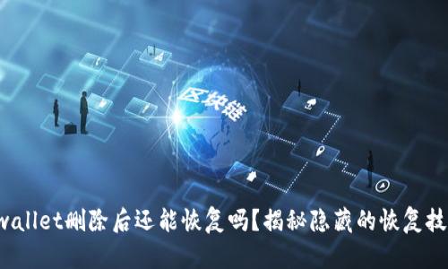 tpwallet删除后还能恢复吗？揭秘隐藏的恢复技巧！