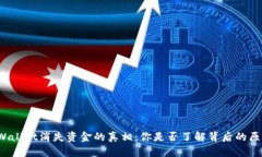 TPWallet消失资金的真相：你是否了解背后的原因？