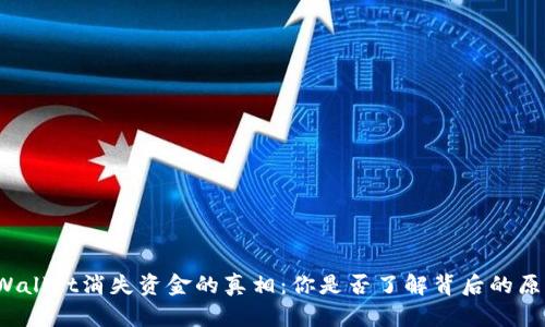 TPWallet消失资金的真相：你是否了解背后的原因？