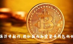 《在数字资产的海洋中航行：揭秘国内加密货币