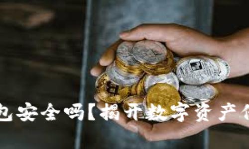 比特币钱包安全吗？揭开数字资产保护的真相
