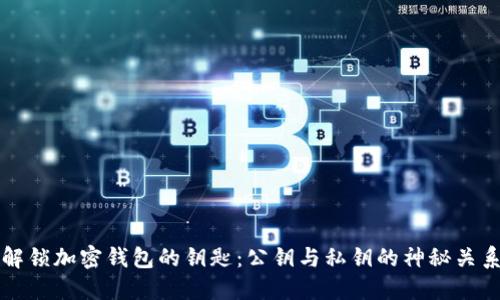 解锁加密钱包的钥匙：公钥与私钥的神秘关系