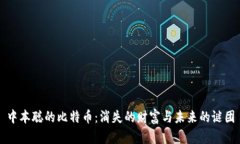 中本聪的比特币：消失的财富与未来的谜团