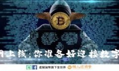 虚拟币钱包主网上线：你准备好迎接数字资产的