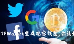 万一你的TPWallet变成观察钱包，你该如何应对？