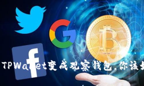 万一你的TPWallet变成观察钱包，你该如何应对？