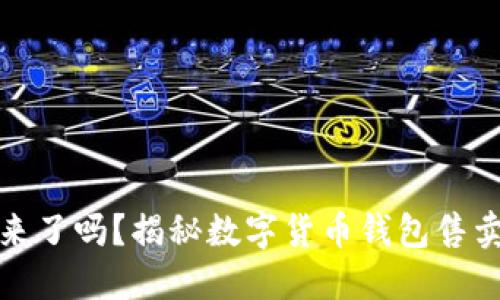 你准备好拥抱未来了吗？揭秘数字货币钱包售卖网站的隐秘世界