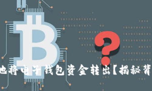 如何安全高效地将电子钱包资金转出？揭秘背后的操作技巧！