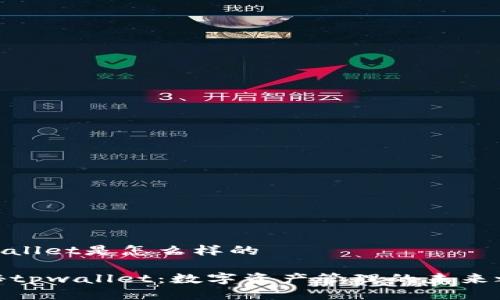 tpwallet是怎么样的

揭秘tpwallet：数字资产管理的未来之路