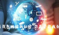 揭开数字货币交易钱包地址的秘密，你是否能找