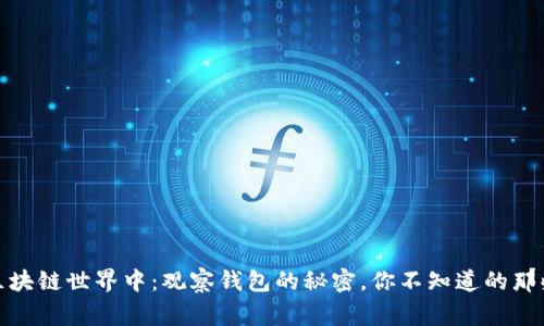 在区块链世界中：观察钱包的秘密，你不知道的那些事