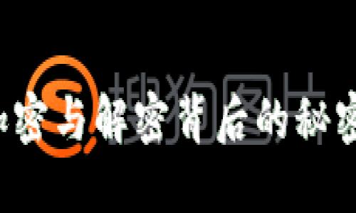 解密数字世界：加密与解密背后的秘密，你准备好了吗？