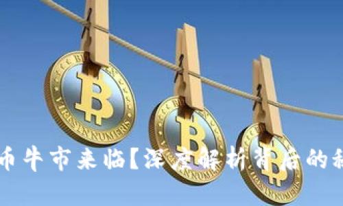 OK币牛市来临？深度解析背后的秘密