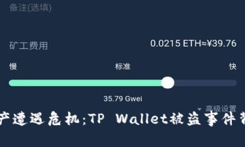 当数字资产遭遇危机：TP Wallet被盗事件背后的秘密