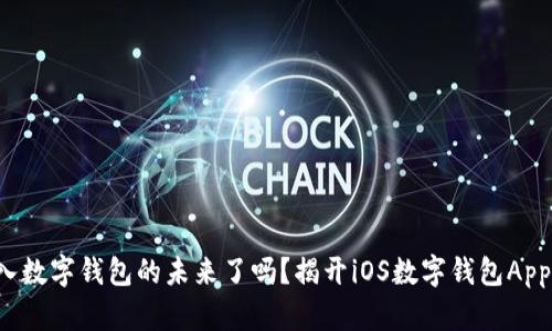 你准备好进入数字钱包的未来了吗？揭开iOS数字钱包App的神秘面纱！