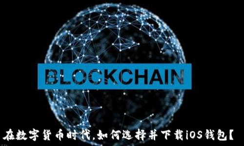   
在数字货币时代，如何选择并下载iOS钱包？ 