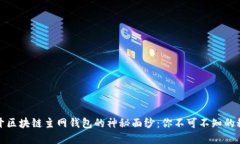 揭开区块链主网钱包的神秘面纱：你不可不知的