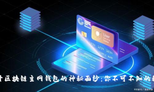 揭开区块链主网钱包的神秘面纱：你不可不知的秘密