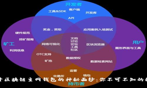 揭开区块链主网钱包的神秘面纱：你不可不知的秘密