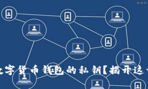 如何找回数字货币钱包的私钥？揭开这一神秘面纱